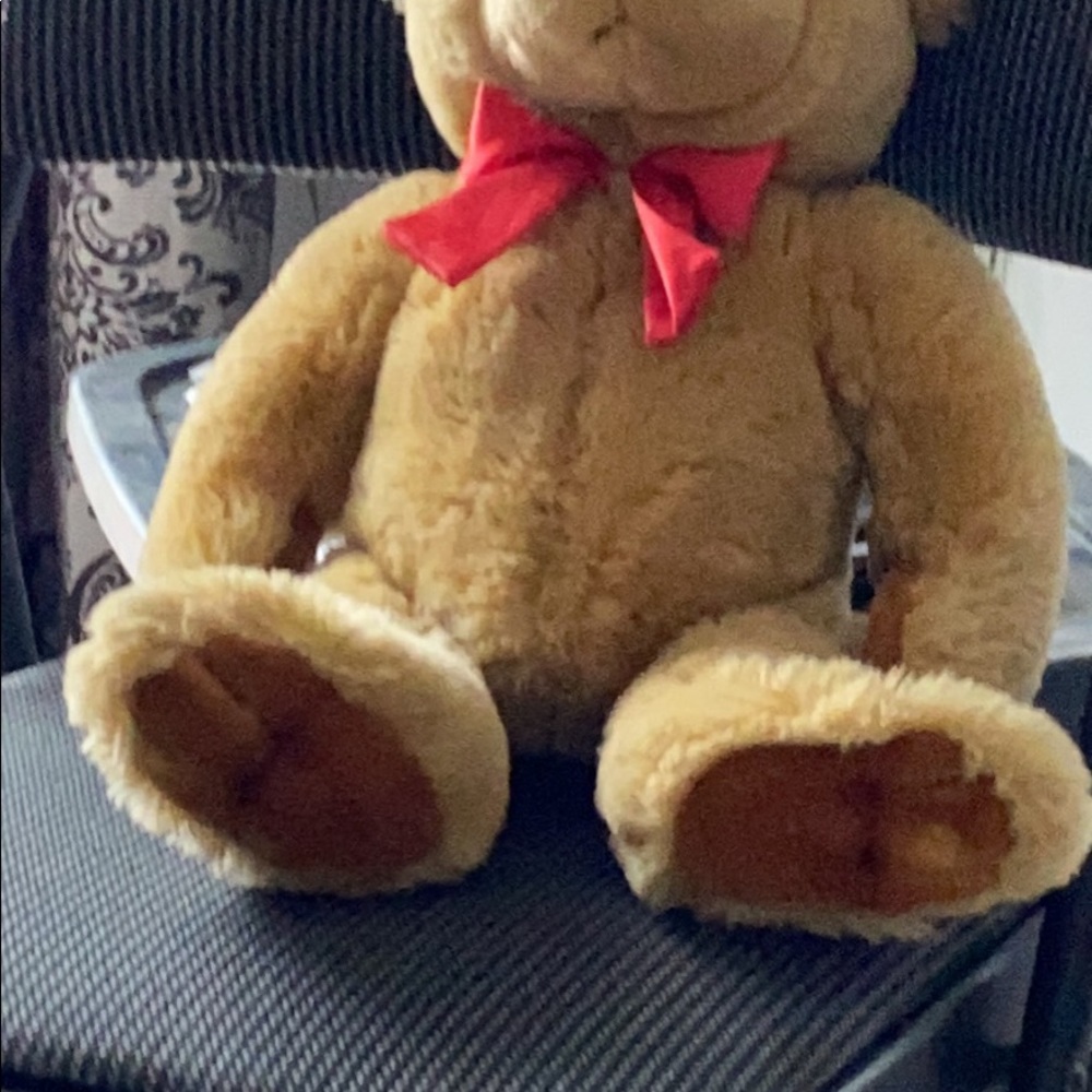 Teddy bear love